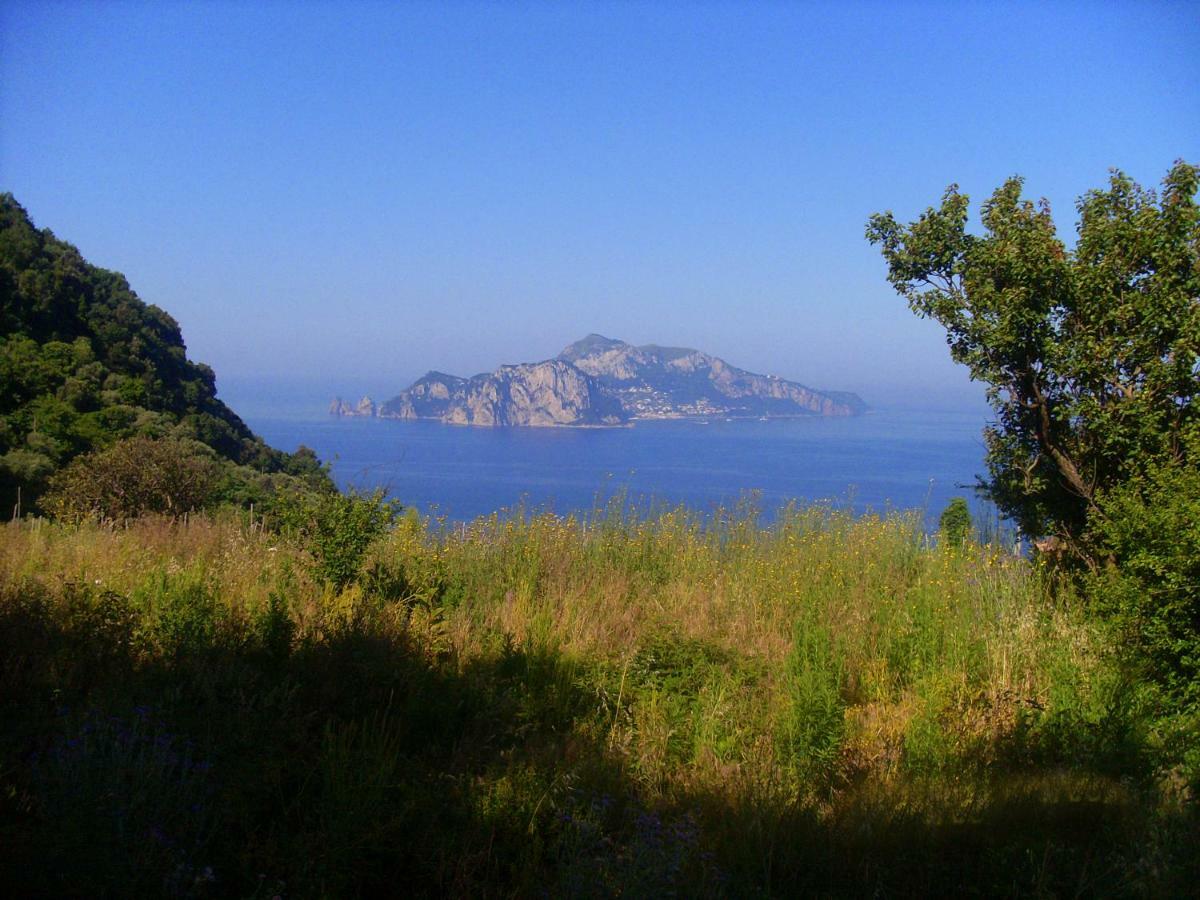 Il Paradiso Degli Dei Agerola Extérieur photo